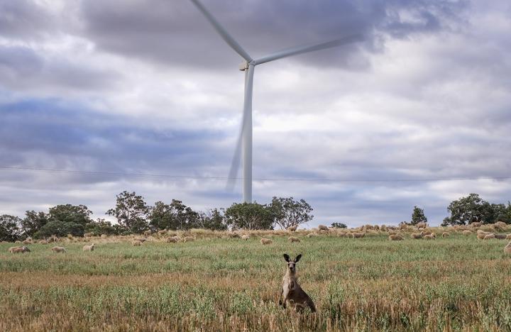 NSW Renewable Energy and Transmission Landholder Guide