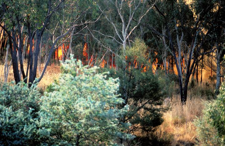 Bushfire protection